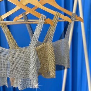 Metallic Mesh Crop Tops
